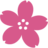 Pink Flower